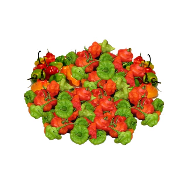 Ají Cachucha (3 Lb)