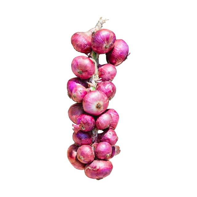 Pata De Cebollas 20u