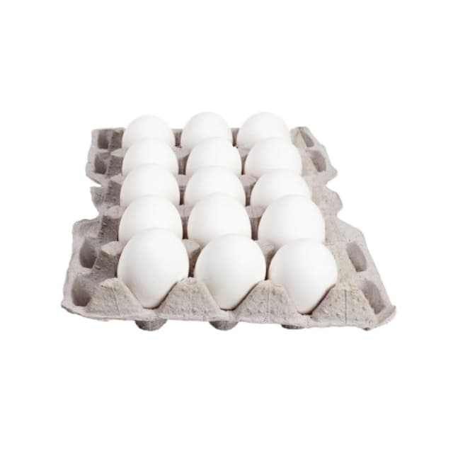 Carton De Huevos 15u